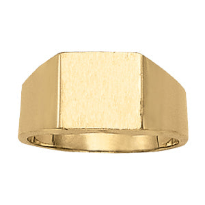 Mens Fashion Signet Ring in Multiple Gold Options